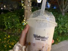 -娃哈哈·奶茶(武林店)