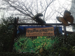 iphone_upload_pic-上海大自然野生昆虫馆