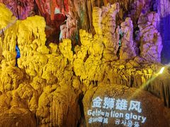 -金狮洞国家地质公园