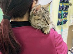 -瑞鹏宠物医院·爱宠堂(环西分院)