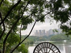 -重庆彩云湖湿地公园