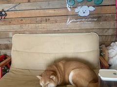 -小时光咖啡馆(开森度假森林店)
