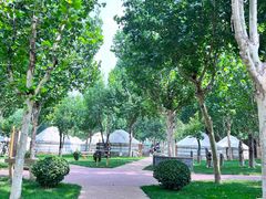 -九十九顶毡房(阜石路店)