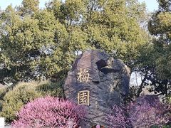 -无锡梅园公园