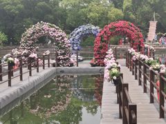-无锡蠡湖国家湿地公园-蠡园