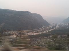 -猪脑壳凉面(武陵源店)