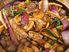 招牌胡须佬鸡煲-胡须佬鸡煲四季火锅店(石厦西村直营店)
