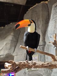 -Zoolung Zoolung动物主题公园(海信广场店)