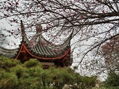 -白沙古井