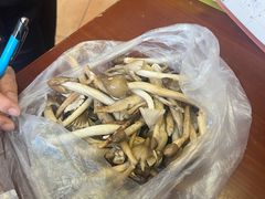 -荔城生鲜盛宴(番禺旗舰店)