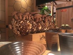 -大头椰·椰子鸡火锅(南宁万象城店)