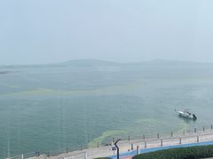 -琴岛之星摩天轮