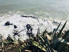 -漳州滨海火山岛自然生态风景区