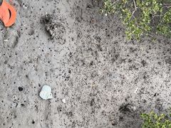 -北海金海湾红树林生态旅游区