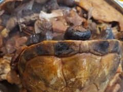 -农汤老店(顺联公园里店)