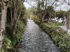 -都江堰中华大熊猫苑