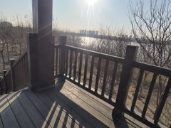 -天津东丽湖风景区