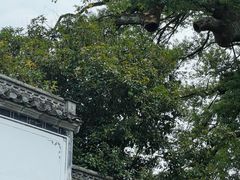 -新安江山水画廊风景区