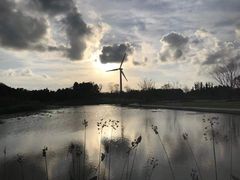 -上海崇明金茂凯悦酒店