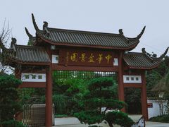 -郫都区农科村景区