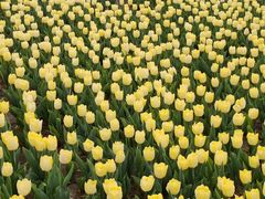 -廊坊文化艺术中心