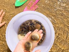 -东戴河风景区-止锚湾