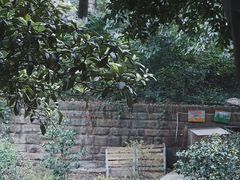 -成都市活水公园