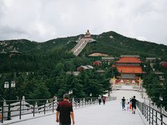 -龙口南山旅游景区