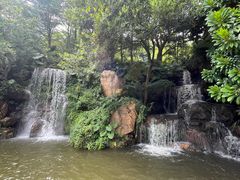 -广州市帽峰山景区