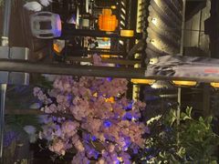 -绿茶餐厅(昆明世纪金源店)