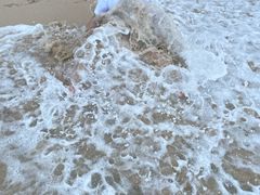 -海口喜来登酒店