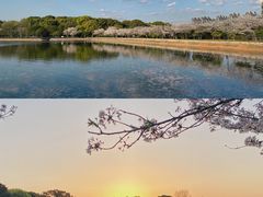 -幸福湖国际会议中心