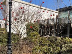 -窗外西餐厅(普罗理想国店)