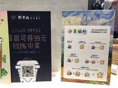 -野萃山·潮汕厚果汁(十亩地店)