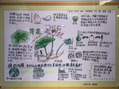 -上海昆虫博物馆