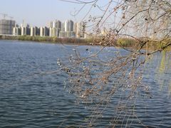 -石湖景区