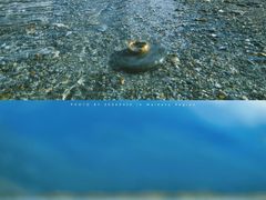 -霍比特人村
