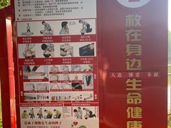 -黄村公园