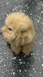 -Hair Co.一间沙龙