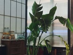 -VESH COFFEE(定西路店)