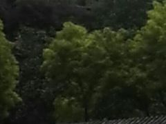 -爱情山风景区