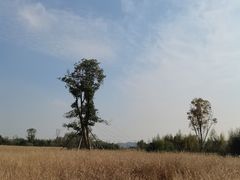 -良渚古城遗址公园