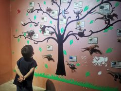 -酷嗒动物文化乐园(cutezoo西溪乐天城店)