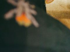 -比格比萨自助(南京万达茂店)