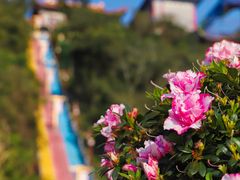 -东莞观音山旅游风景区
