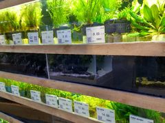 -龟与熊猫宠物公园(南坪店)