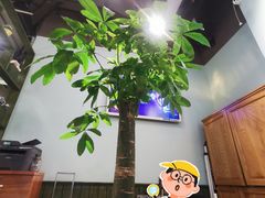 -仙踪林(江燕路万科里店)