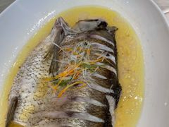 清蒸太湖白鱼-欣旺·迎宾楼·百年无锡菜