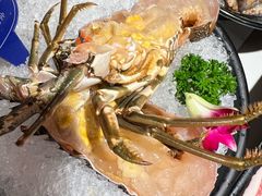 -海月轩海鲜豆捞(紫金塔店)