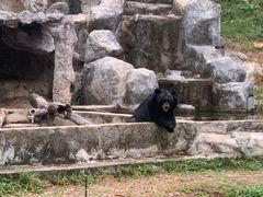 -清迈夜间动物园